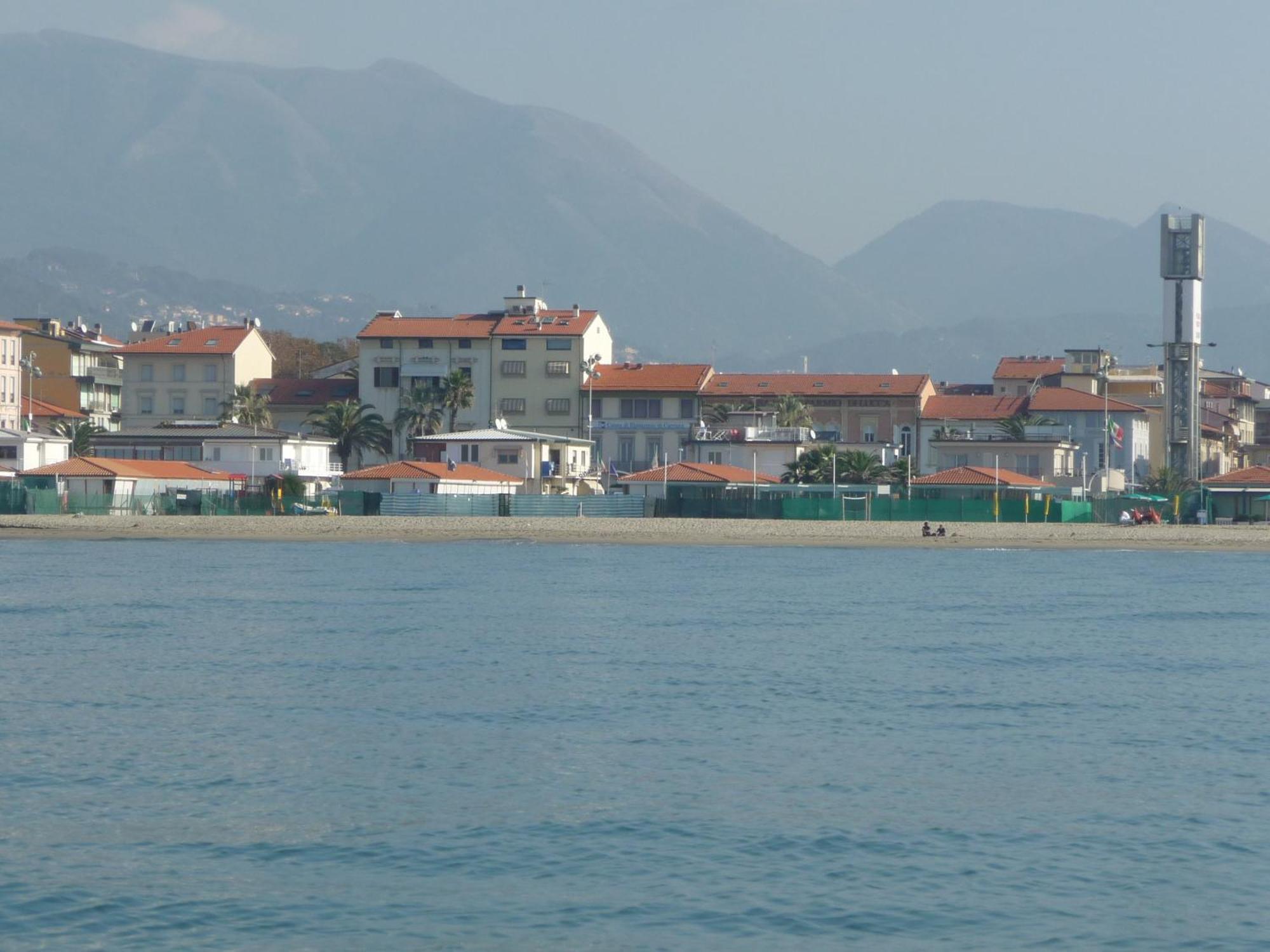 Pardini